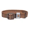 Brede nylon hondenhalsband