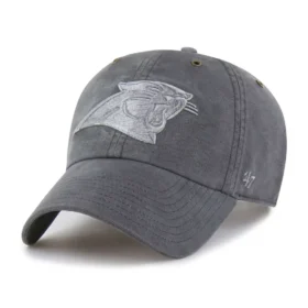 Carolina Panthers '47 geverfd Clean Up