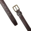 Hamilton-riem