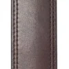 Hamilton-riem