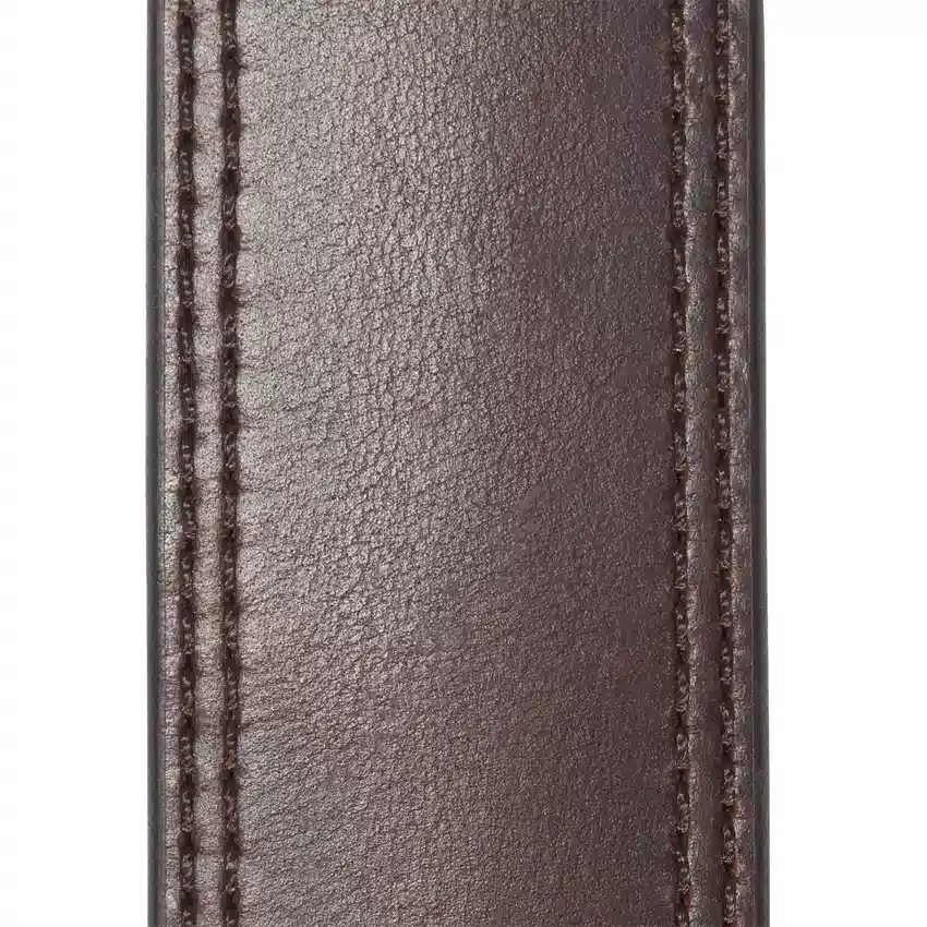 Hamilton-riem