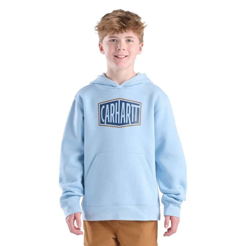 Jongens-sweatshirt met lange armstukken en print (peuters/kinderen/jeugd)