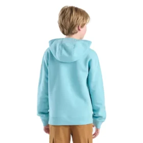 Jongenssweatshirt met lange armstukken en print (kind/jeugd)