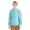 Jongenssweatshirt met lange armstukken en print (kind/jeugd)