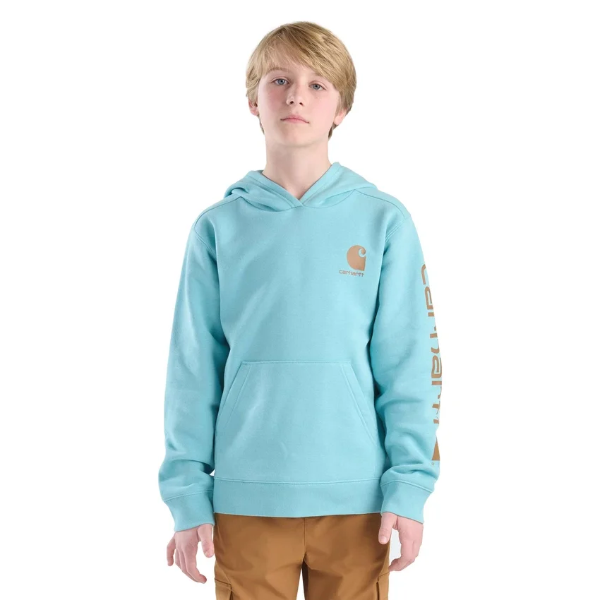 Jongenssweatshirt met lange armstukken en print (kind/jeugd)