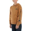 Jongenssweatshirt met lange armstukken en print (peuters/kinderen/jeugd)