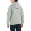 Jongenssweatshirt met lange armstukken en print (peuters/kinderen/jeugd)