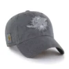 Miami Dolphins '47 geverfd Clean Up