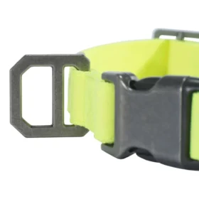 Nylon Duck hondenhalsband