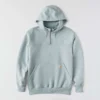 Paxton waterafstotende, zware hoodie met kwartrits voor heren - carhartt Rain Defender Hoodies