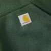 Paxton waterafstotende, zware hoodie voor heren - carhartt Rain Defender Hoodies