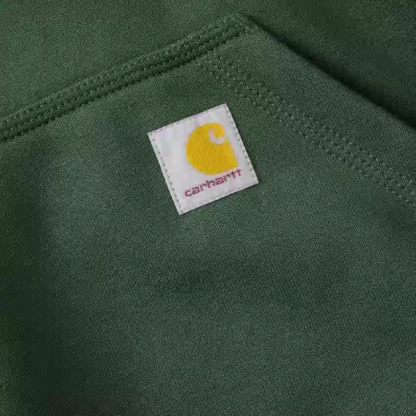 Paxton waterafstotende, zware hoodie voor heren - carhartt Rain Defender Hoodies