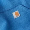 Paxton waterafstotende, zware hoodie voor heren - carhartt Rain Defender Hoodies