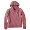 Sawyer-hoodie met Script Logo op de armstukken voor dames