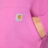 Sawyer-hoodie met Script Logo op de armstukken voor dames