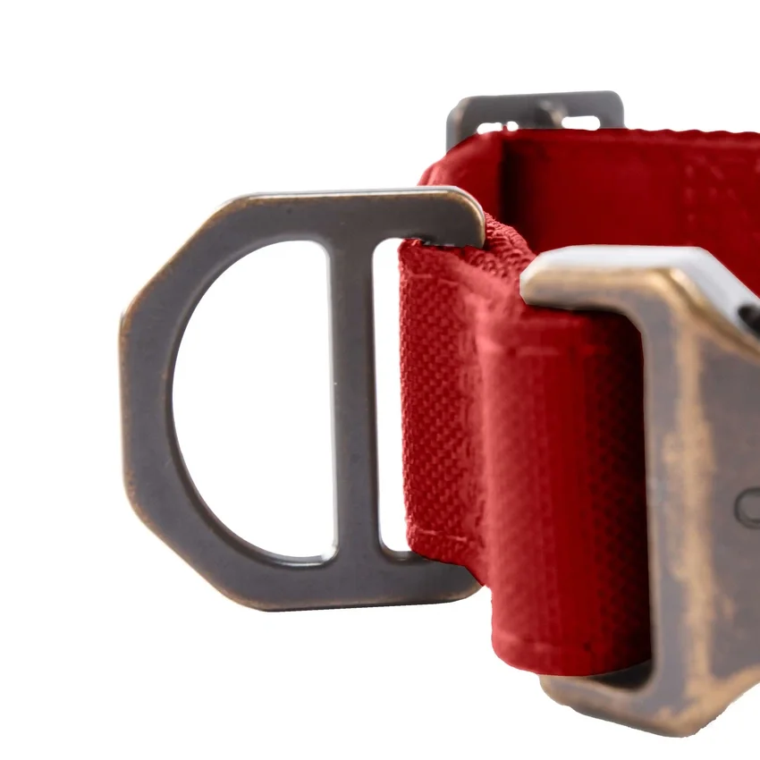 Veldhondenhalsband