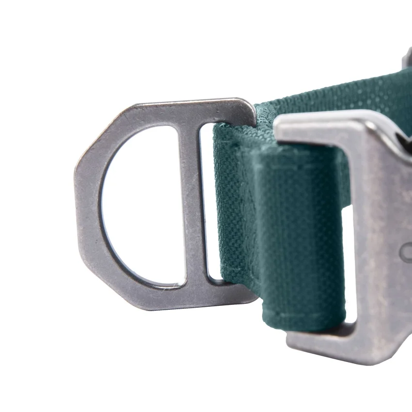 Veldhondenhalsband